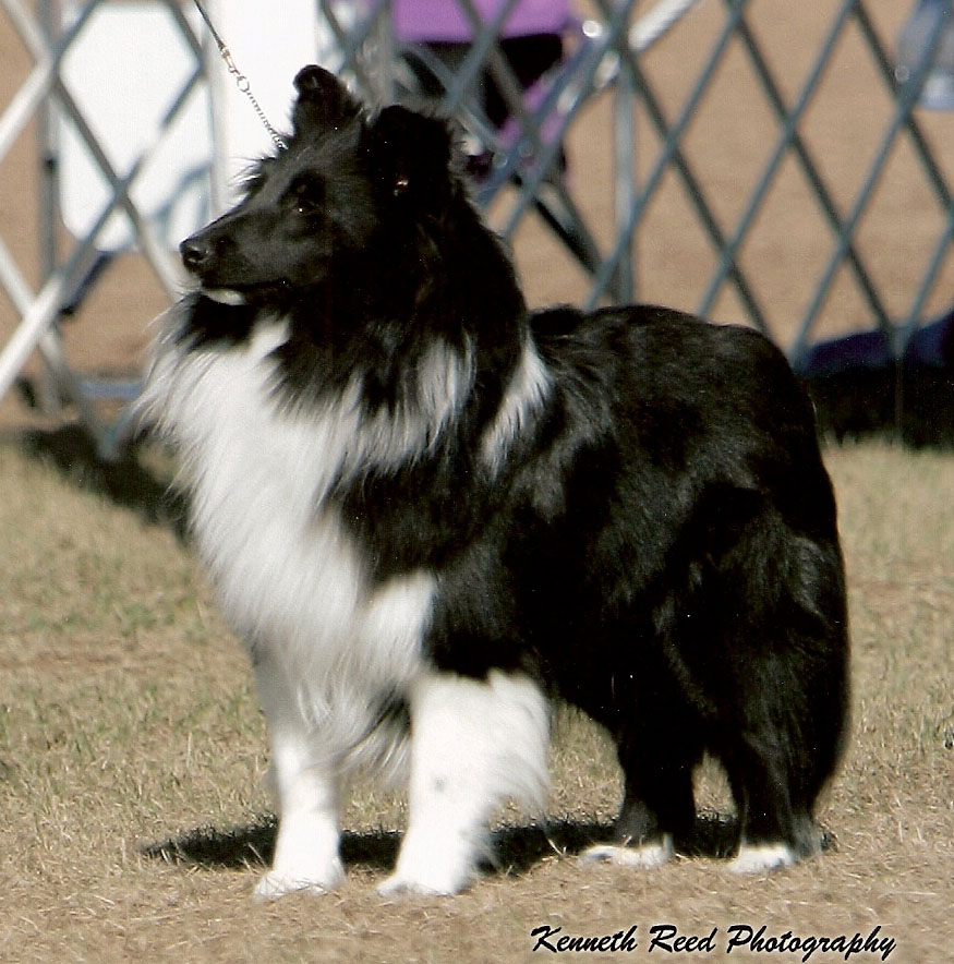 Tux Show